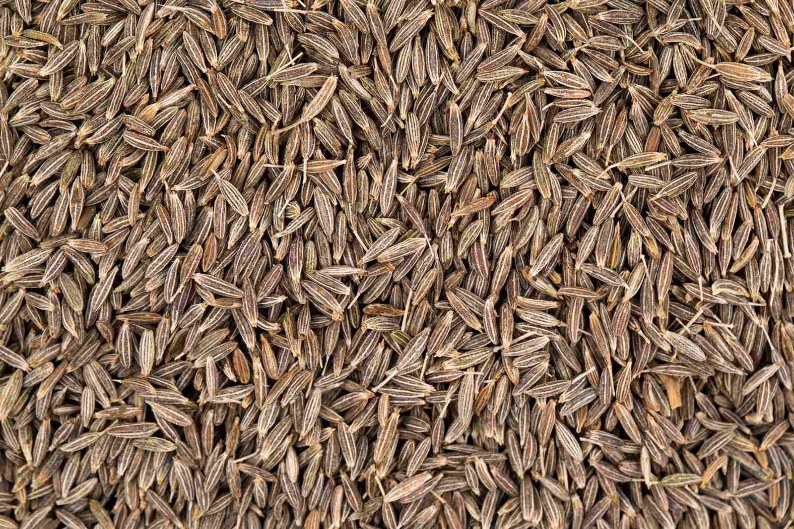 CUMIN SEEDS